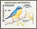 Tropical Parula (Parula pitiayumi)